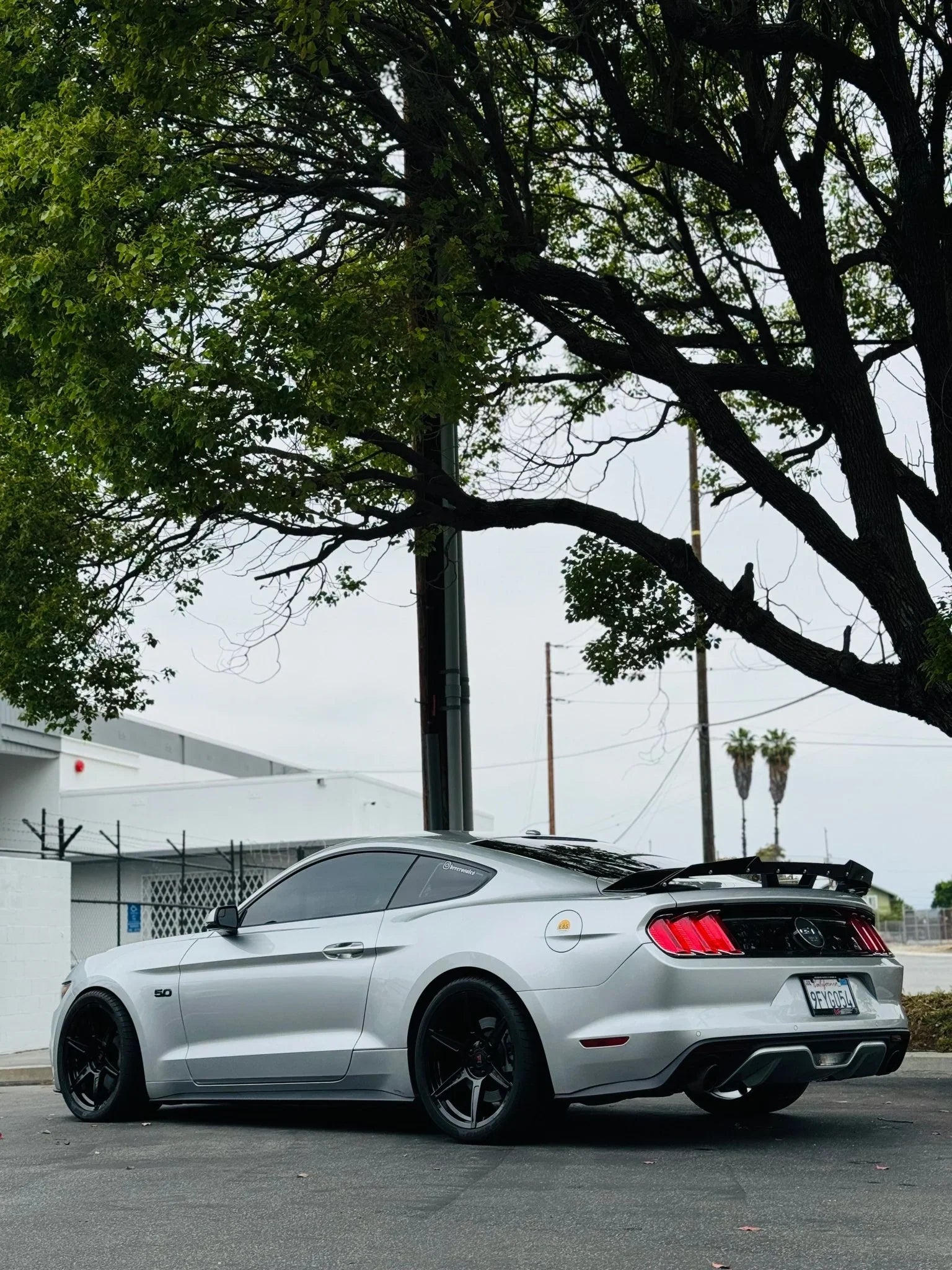 Modern Muscle RF M6 wheels 19X10 / 19X11 for Ford Mustang GT / S550 / S650 - Gem Motorsports