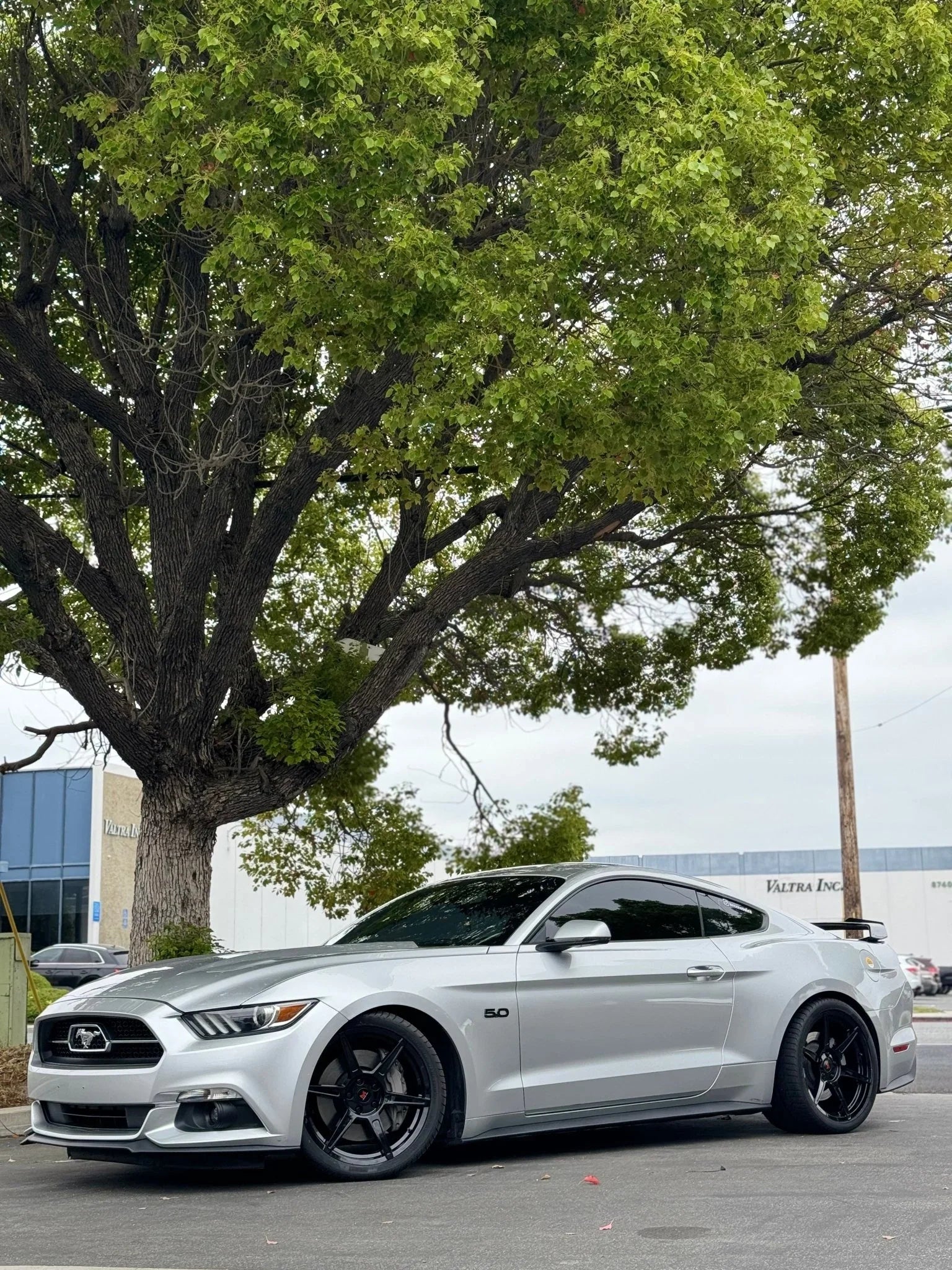 Modern Muscle RF M6 wheels 19X10 / 19X11 for Ford Mustang GT / S550 / S650 - Gem Motorsports