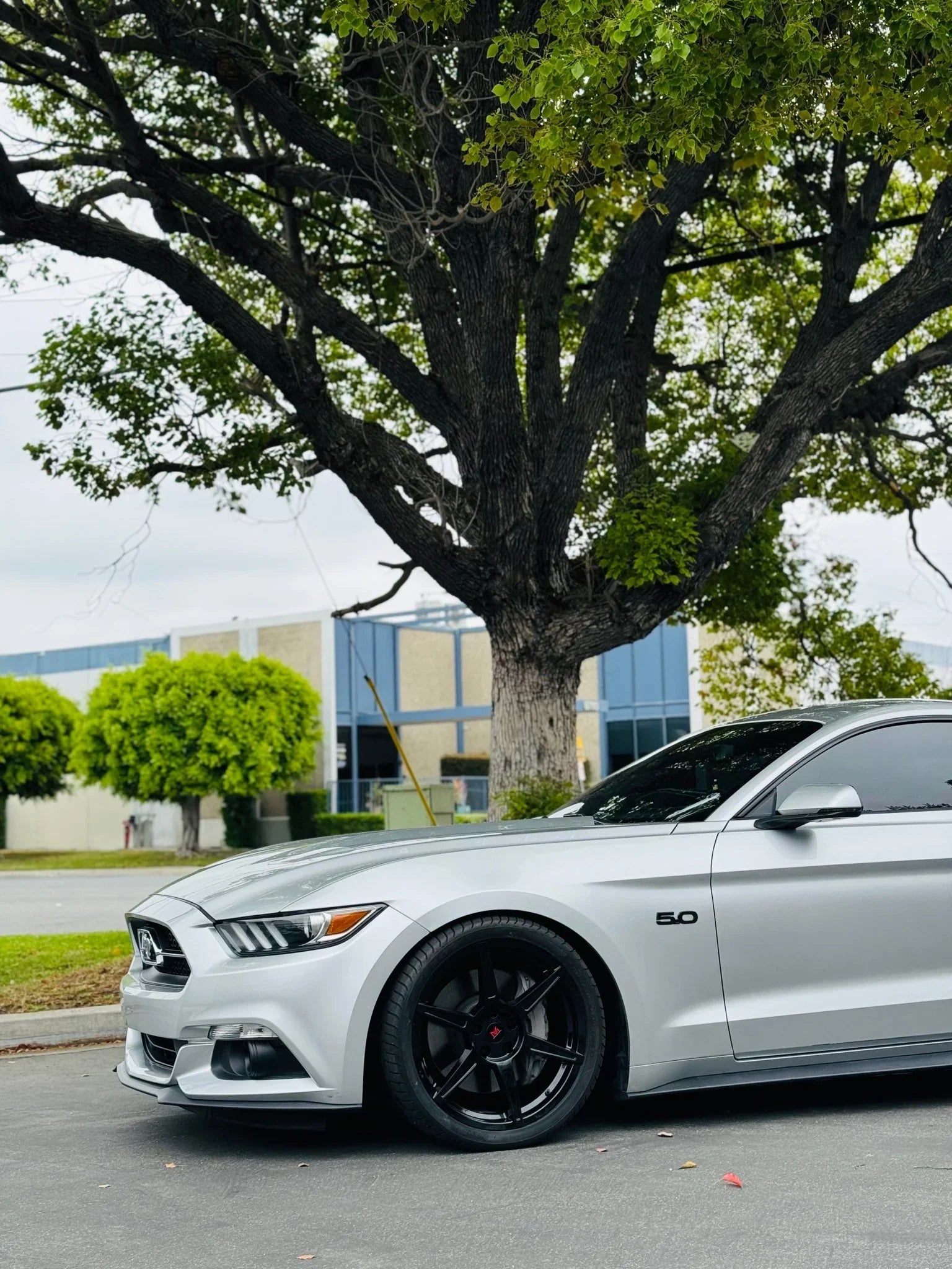 Modern Muscle RF M6 wheels 19X10 / 19X11 for Ford Mustang GT / S550 / S650 - Gem Motorsports