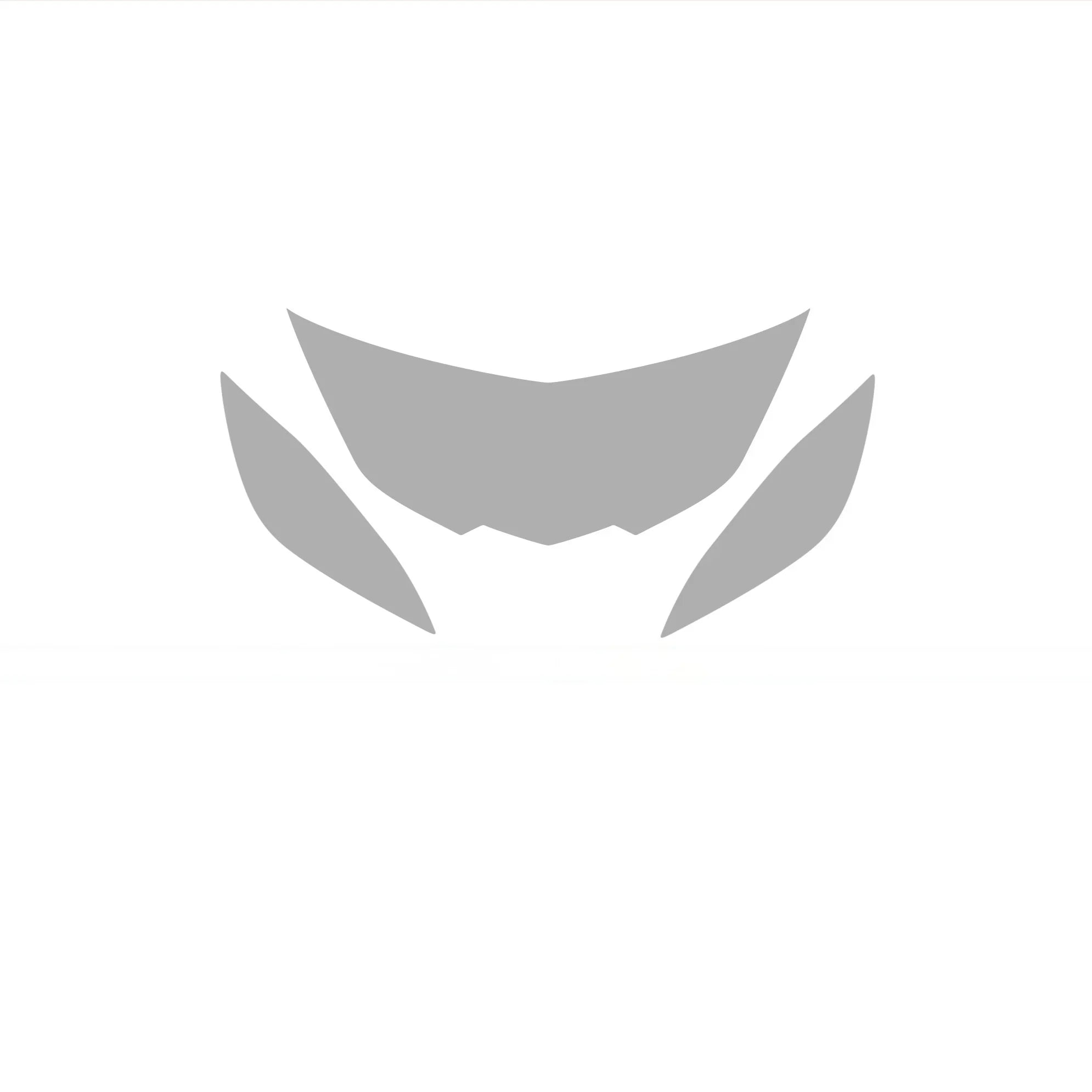 C8 CORVETTE Z06 COUPE / HTC FRONT PPF PRE - CUT / FRONT BUMPER PROTECTION - Gem Motorsports