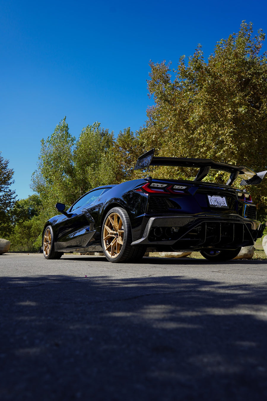 C8 Corvette Stingray